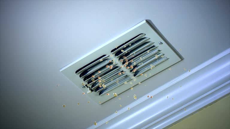 Best HVAC Air Duct Cleaning  in Fircrest, WA